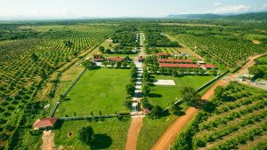 Curso de Avaliação de Imóveis Urbanos e Rural